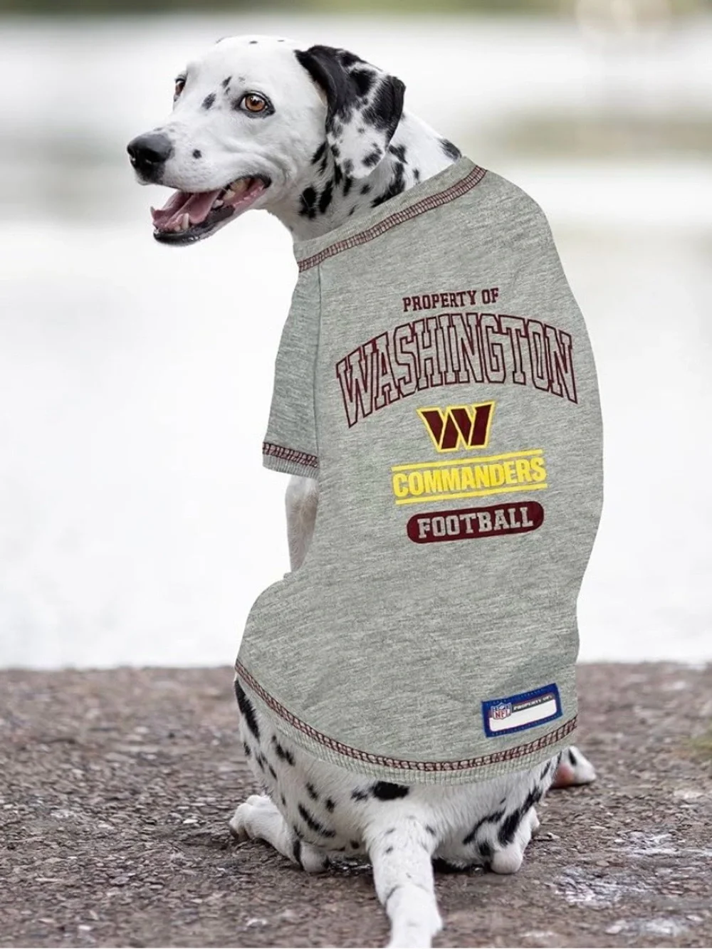NFL Washington Commanders Dog T-Shirt Licensed T-Shirt for Pets -  Size XL